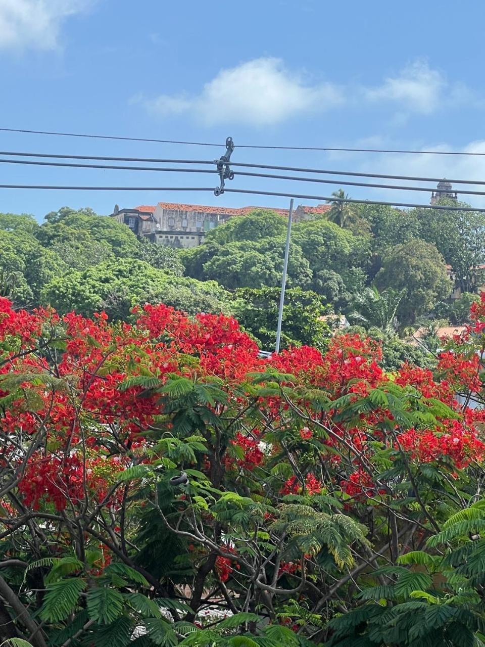 Pousada Do Leo Olinda Bagian luar foto