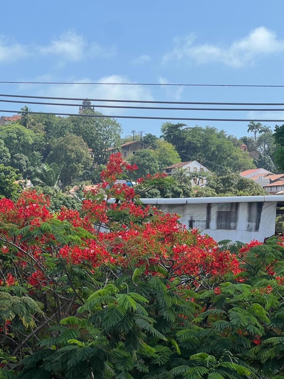 Pousada Do Leo Olinda Bagian luar foto